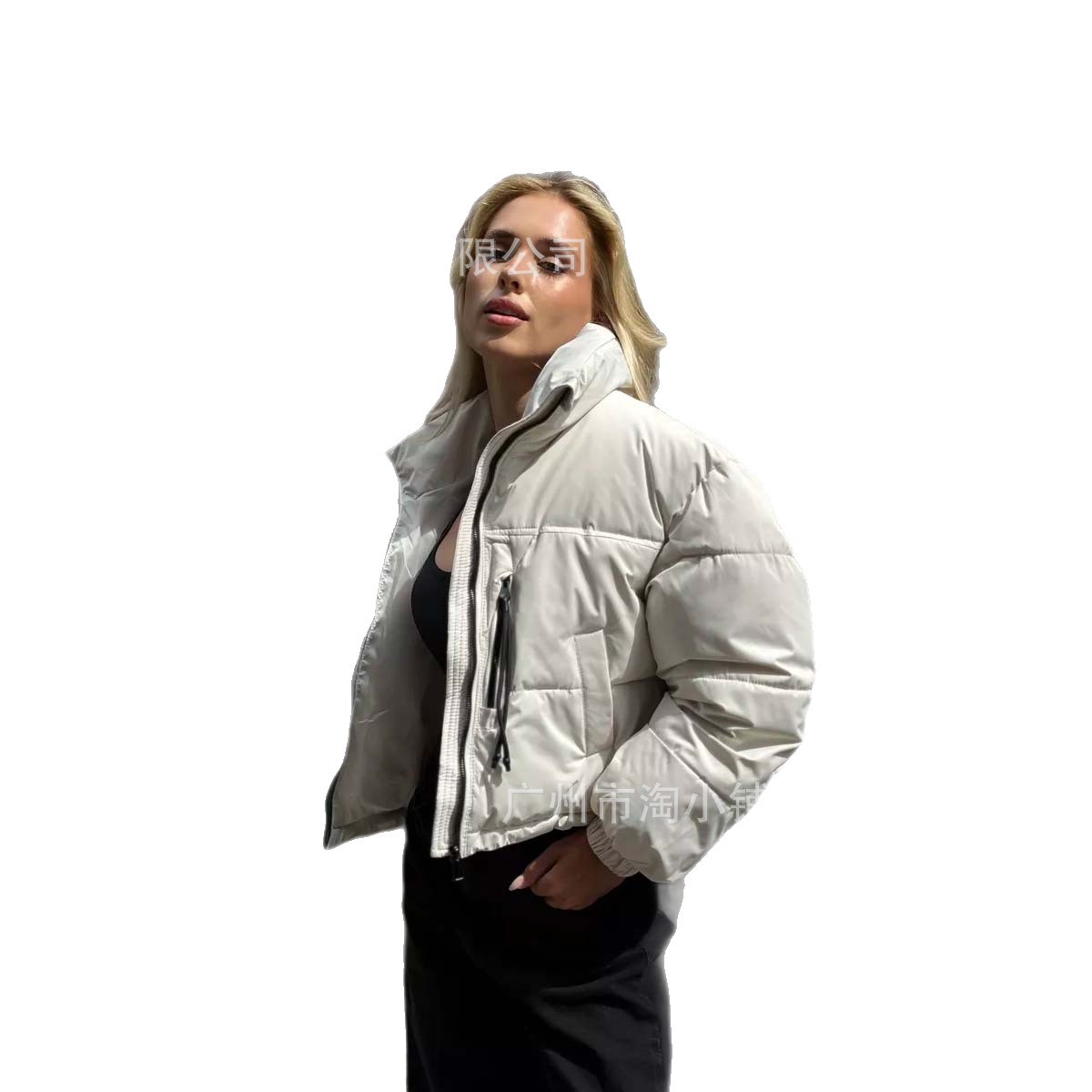 This year's popular cotton-padded clothes women's short stand collar Korean style loose casual Korean style small 2020 winter New